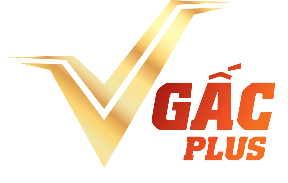 V GAC PLUS